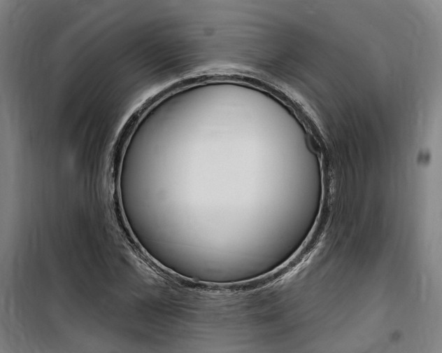 X0000100870973200806200859