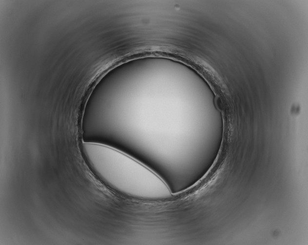 X0000100870977200806200859