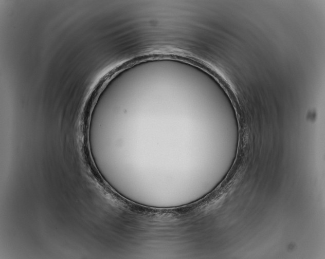 X0000100870979200806200859