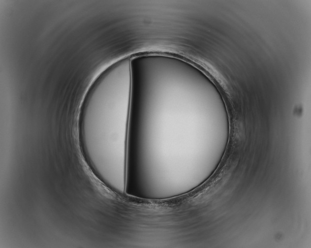 X0000100870980200806200859