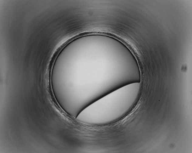 X0000100870982200806200859