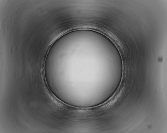 X0000100870985200806200859