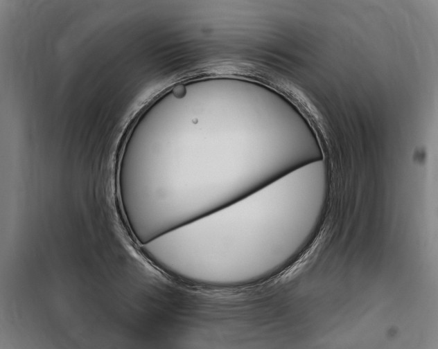 X0000100870986200806200859