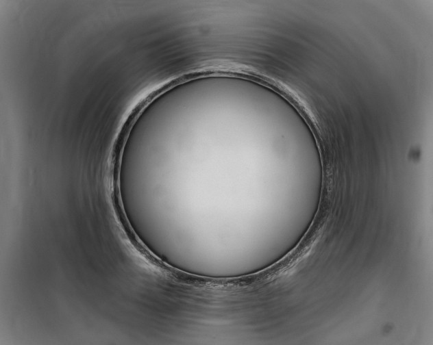 X0000100870987200806200859