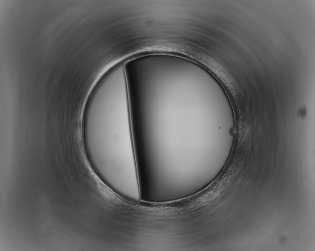 X0000100870988200806200859