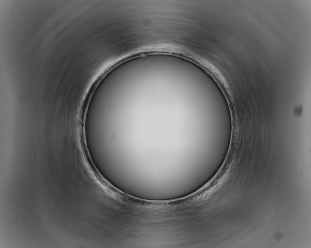 X0000100870989200806200859