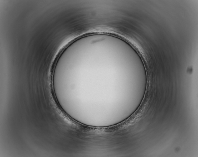 X0000100870990200806200859