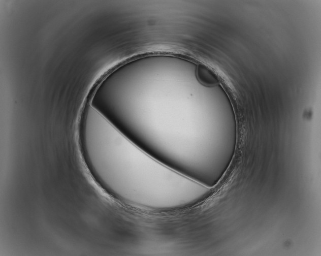 X0000100870991200806200858