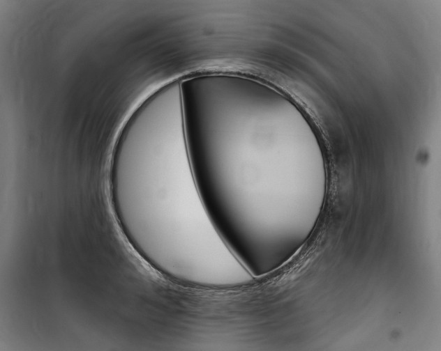 X0000100870992200806200858