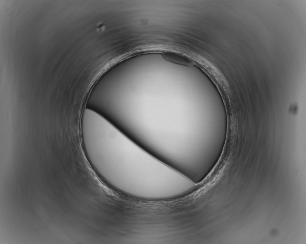 X0000100870993200806200858
