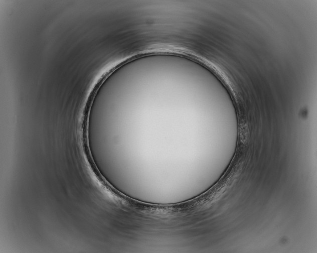 X0000100870995200806200858