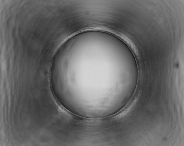 X0000100871001200806200858