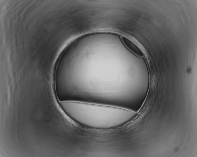 X0000100871005200806200858