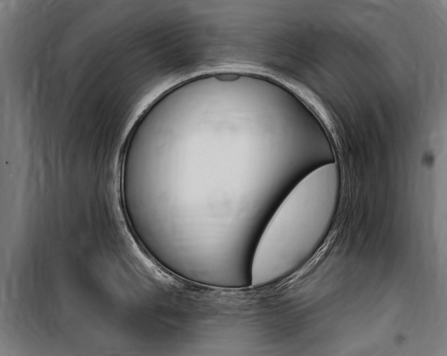 X0000100871006200806200858