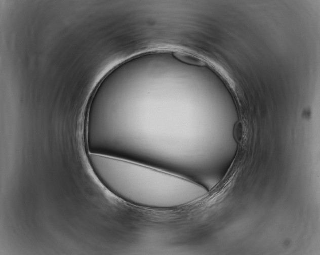 X0000100871007200806200858