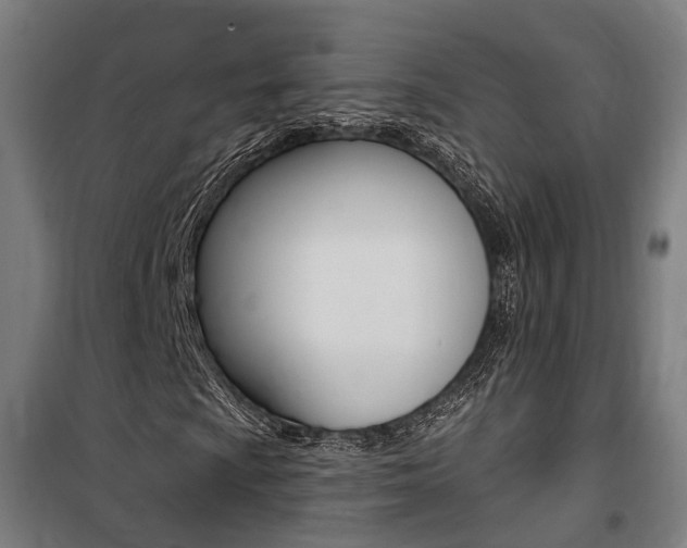 X0000100871009200806200857