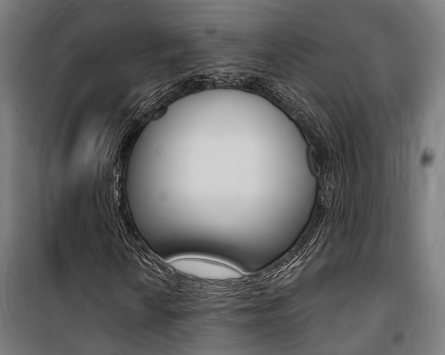 X0000100871010200806200857