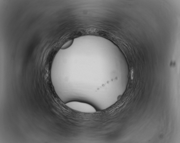 X0000100871011200806200857