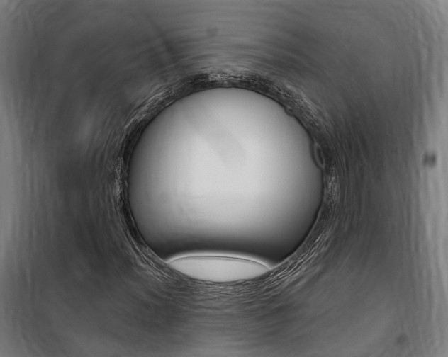 X0000100871012200806200857