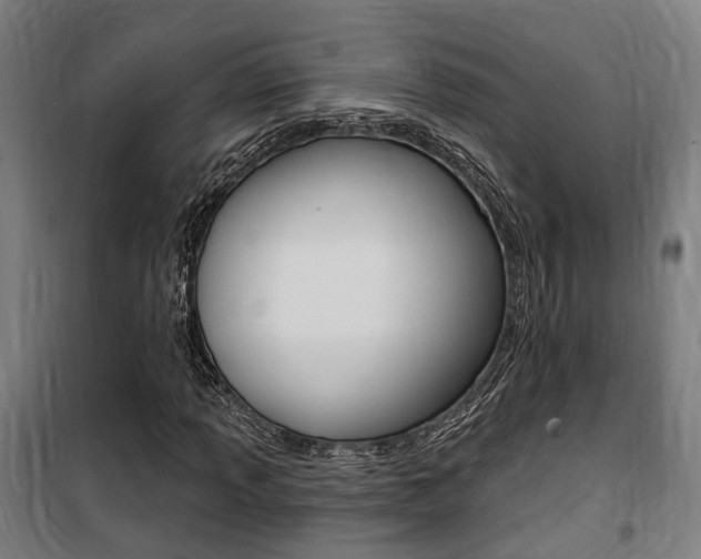 X0000100871013200806200857
