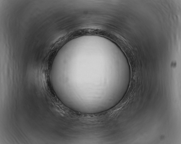 X0000100871014200806200857