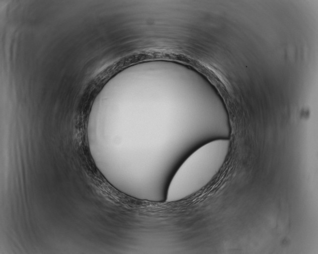 X0000100871015200806200857
