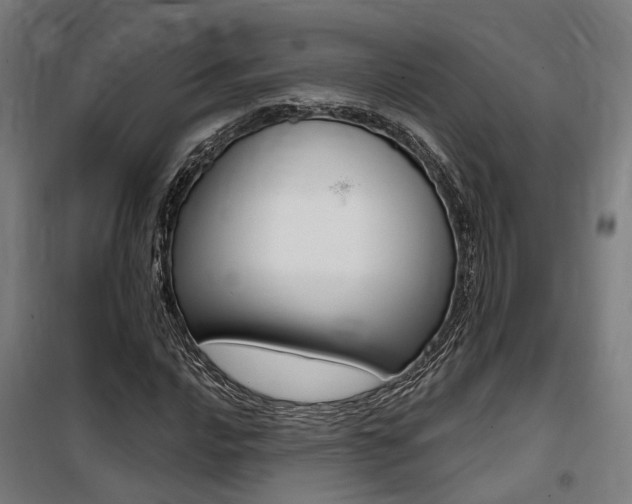 X0000100871016200806200857