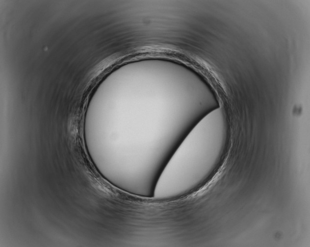 X0000100871017200806200857