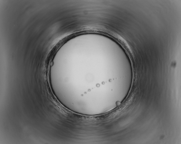 X0000100871019200806200858