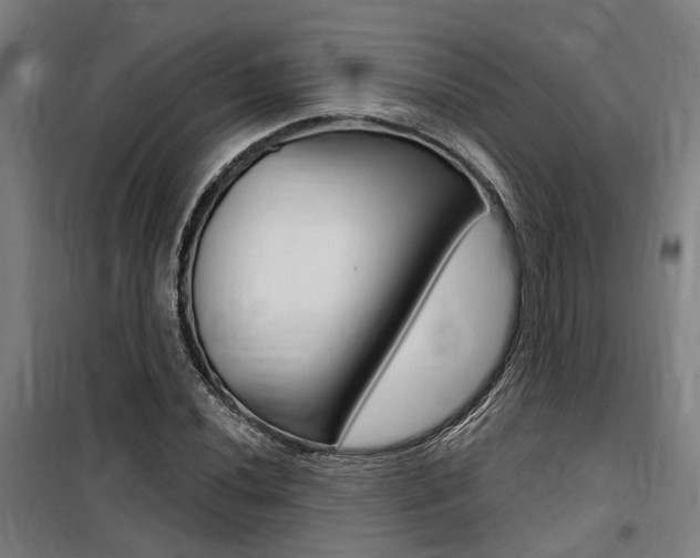 X0000100871020200806200858