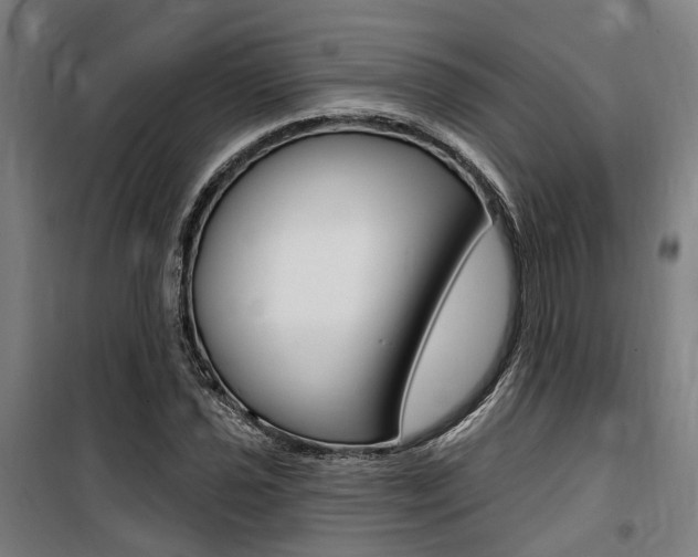 X0000100871021200806200858