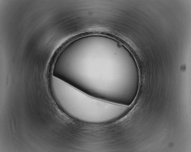 X0000100871022200806200858
