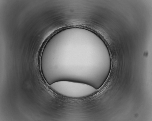 X0000100871023200806200858