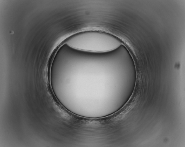 X0000100871030200806200858
