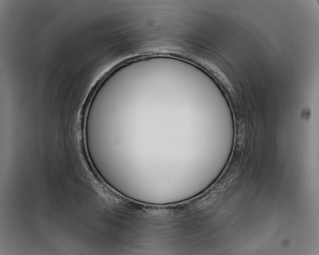 X0000100871031200806200858