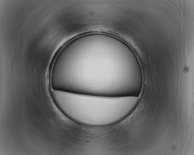 X0000100871032200806200858