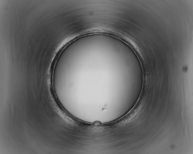 X0000100871034200806200858