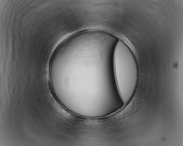 X0000100871036200806200858