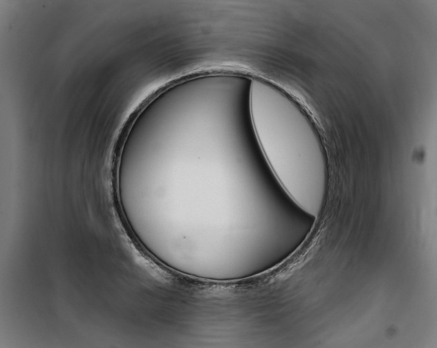 X0000100871038200806200858