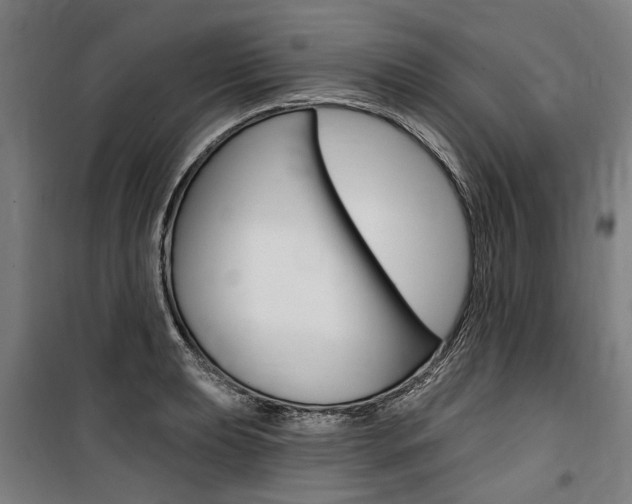 X0000100871039200806200858