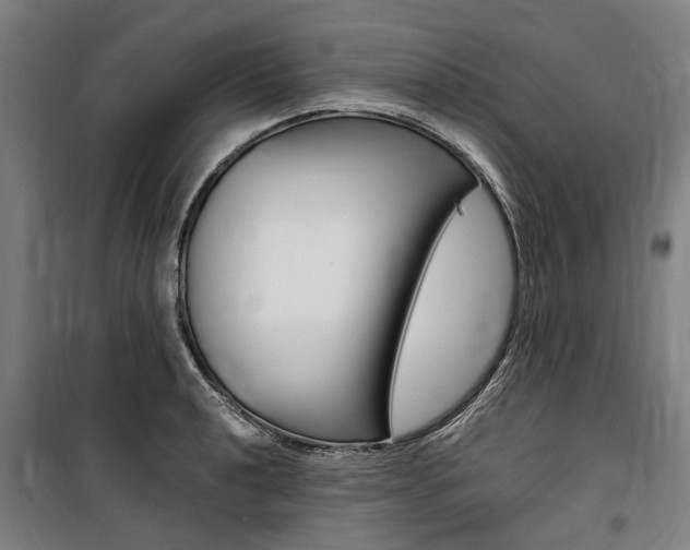 X0000100871040200806200858