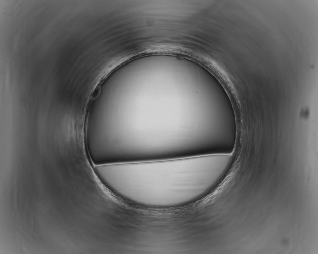 X0000100871041200806200858