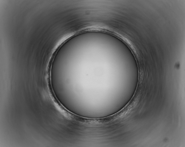 X0000100871042200806200858