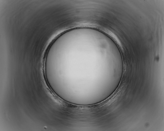X0000100871043200806200858