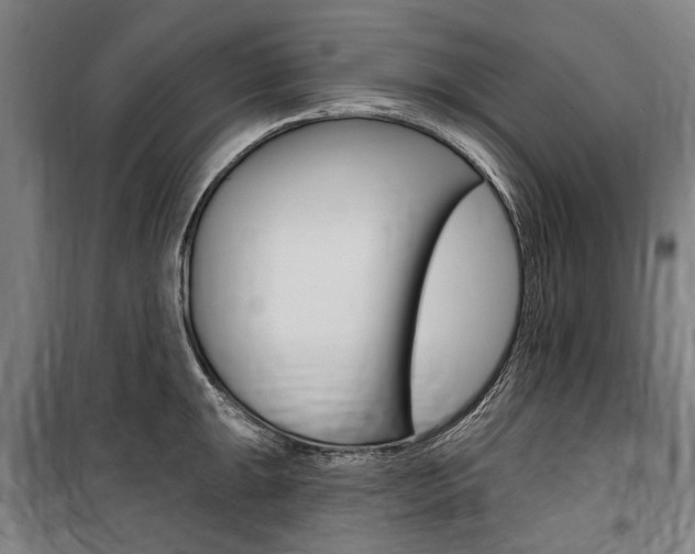 X0000100871047200806200858
