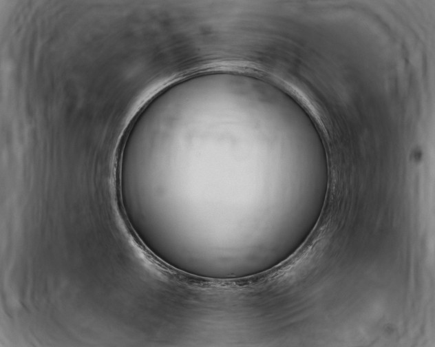X0000100871050200806200858