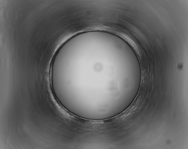 X0000100871055200806200858