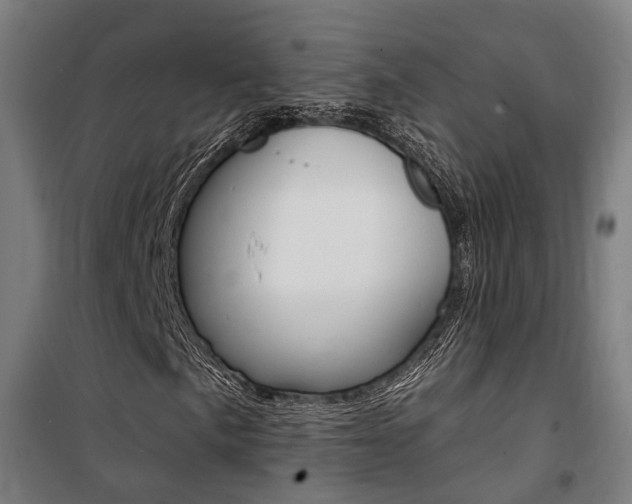 X0000100871057200806200857