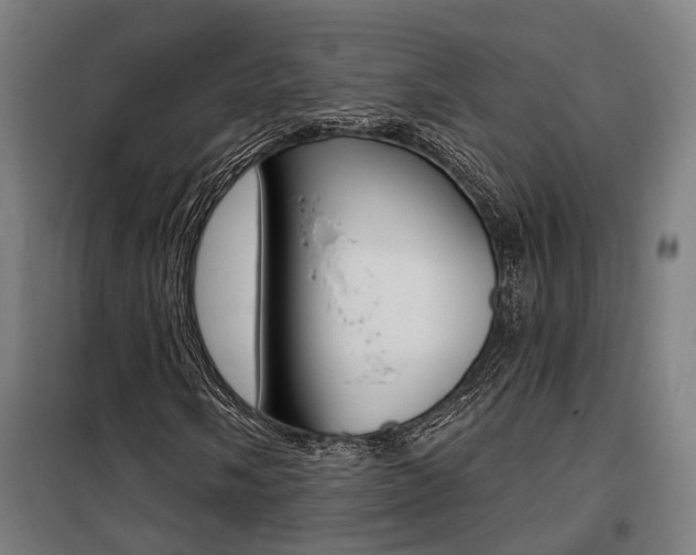 X0000100871058200806200857