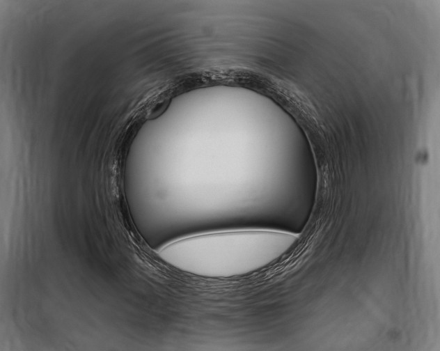 X0000100871060200806200857